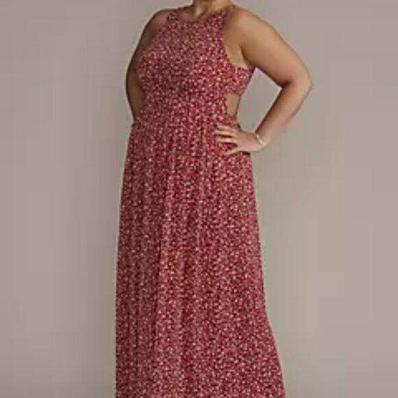 Plus Size Floral Printed Chiffon A-Line - Picture 1 of 3